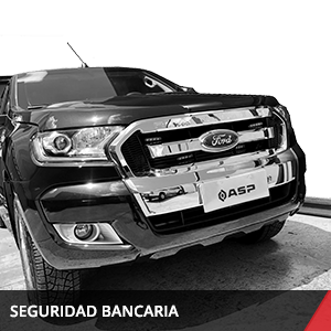 SEGURIDAD BANCARIA